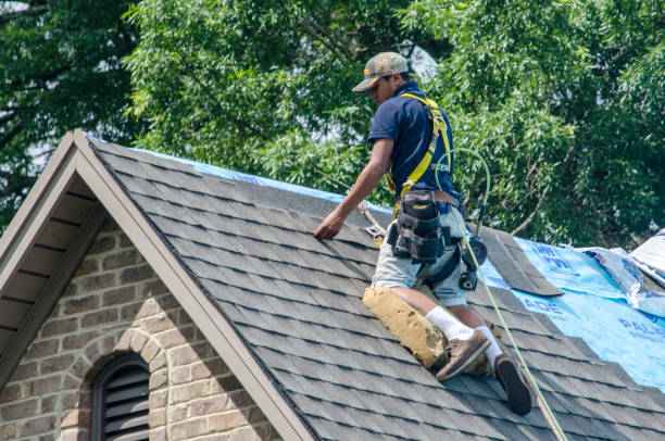 Best Commercial Roofing Services  in Miles City, MT